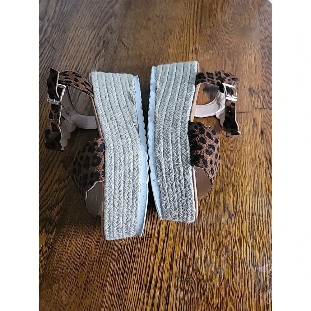 Leopard elevate your